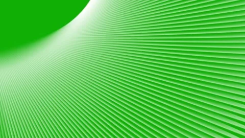 Digital lines pattern green screen motio... | Stock Video | Pond5