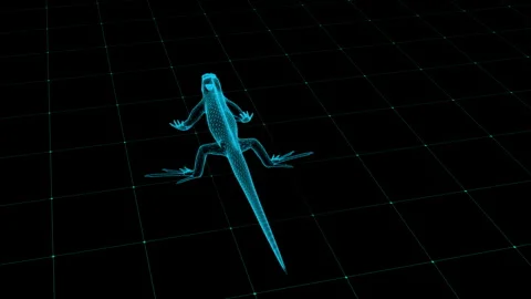 Digital Lizard Hologram in a Cyber Grid Environment Displaying Futuristic D.. 库存影片 343864373