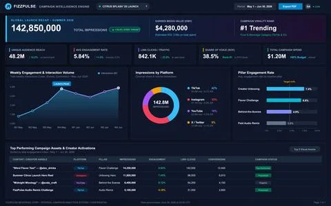 Digital Marketing Analytics Dashboard with Campaign Performance Data and Char Stock Illustration