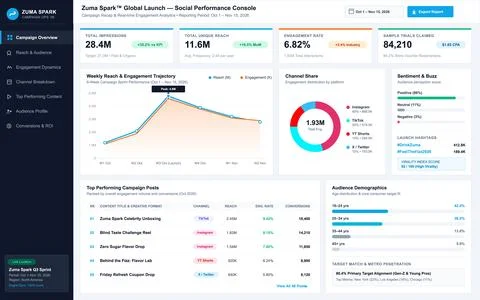Digital Marketing Analytics Dashboard for Social Media Campaign Performance 스톡 일러스트