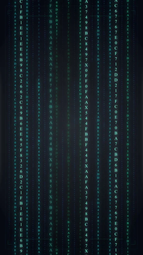 Digital matrix code data stream falling lines cyber security technology 動画素材 347200442