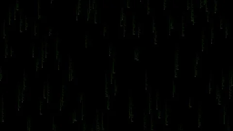 Digital matrix data rain code on black background for tech overlay 4K Stock Footage 336482827