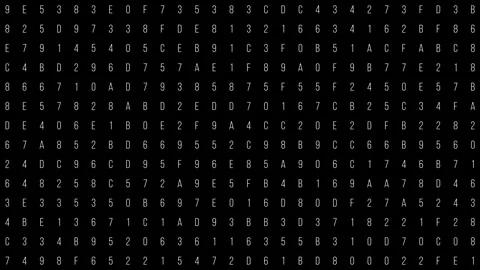 Digital Matrix Design of Abstract Number Patterns on Black Background Stock Footage 341375676