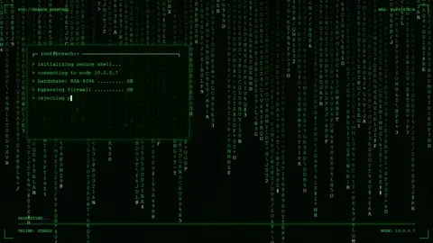 Digital Matrix Rain Background with System Breach Warning and Hacking Code Stock Footage 345766163