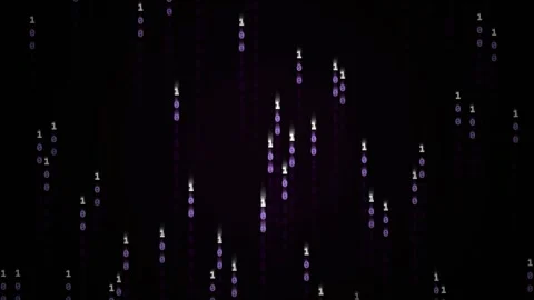 Digital matrix rain with glowing purple and white binary digits cascading down i Stock-Footage 347081376