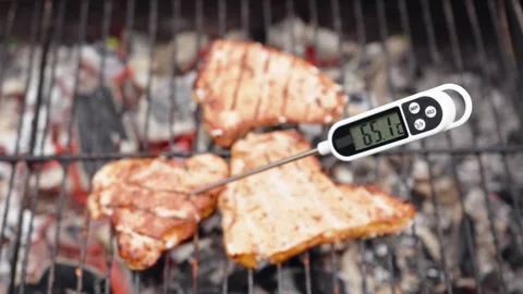 Digital meat thermometer measures internal grill temperature rise on seasoned Stock Footage 346644158