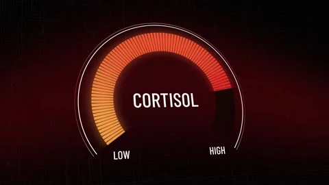 Digital meter measuring Cortisol stress hormone levels rising from low anxiet Stock-Footage 319541344