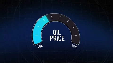 Digital meter showing volatile crude oil prices, surging energy cost fluctuat Stock Footage 319302295