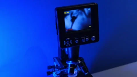 Digital microscope screen displaying moving microorganisms under blue light Stock Footage 295851144