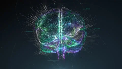 Digital model of the human brain. Brain scan technology concept 스톡 동영상 156589242