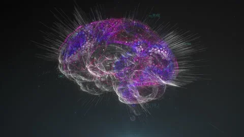 Digital model of the human brain. Brain scan technology concept Stock Footage 156622598