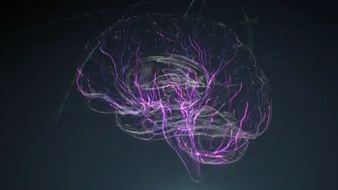 Digital model of the human brain. Brain scan technology concept Stock Footage 157204430