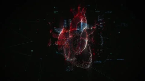 Digital model of the Human heart and major blood vessels Stock Footage 161747473