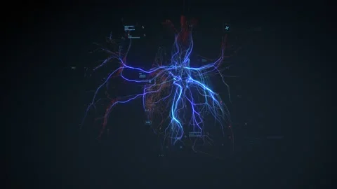 Digital model of the Human heart and major blood vessels Stockbeeldmateriaal 161747599
