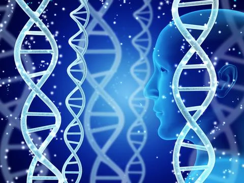 Digital models of DNA structure and human profile on abstract blue background 스톡 사진