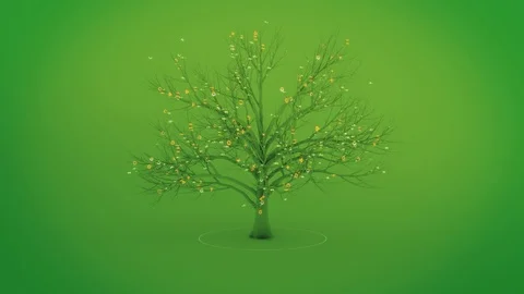 Digital Nature Tree Stock Footage 98780812
