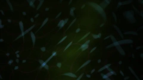 Digital Network Abstract Background with Glowing Blue Nodes Moving in Fast .. 動画素材 343694229