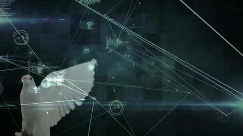 Digital network and data visualization animation over bird in flight Stock Footage 305621414