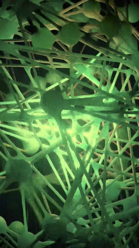Digital network connections. Abstract futuristic data visualization. Vídeo Stock 339638178