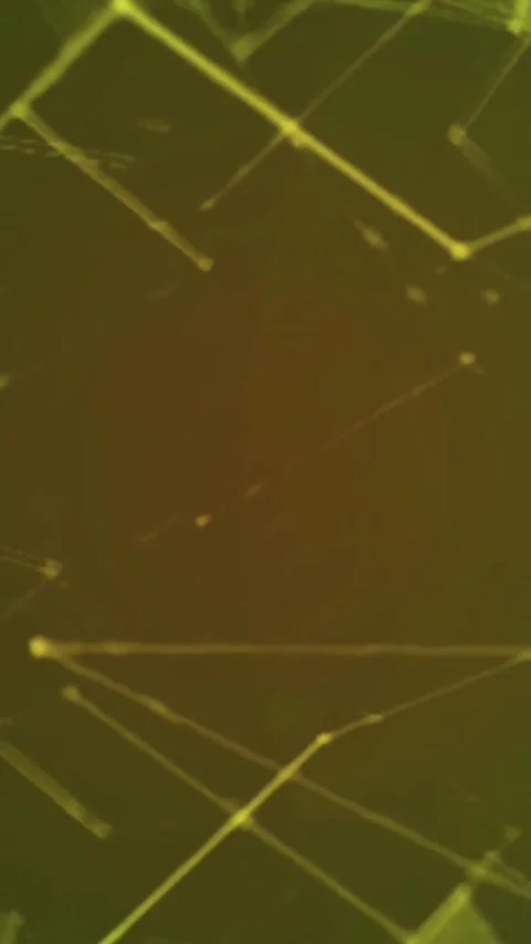 Digital network connections. Abstract technology background. Stock Footage 339638271