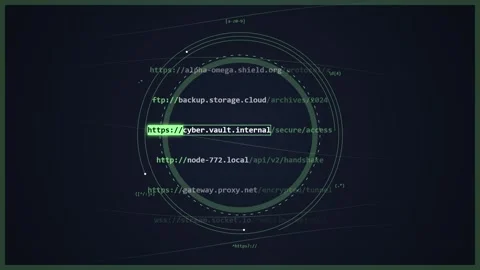 Digital Network Data Flow and Cyber Security Concept Stock Footage 348421041