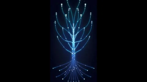 Digital neural network tree animation: abstract data flow and connectivity .. Stock Footage 337560152