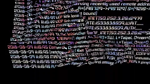 Digital nightmare. Matrix-style command line. Hacker's toolkit. Stock Footage 313924889