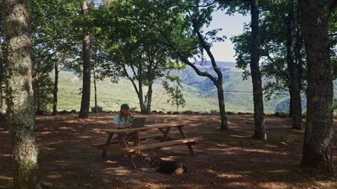 Digital Nomad Working on Laptop at Picnic Table with Dog in Mountains Vídeos de archivo 346389683