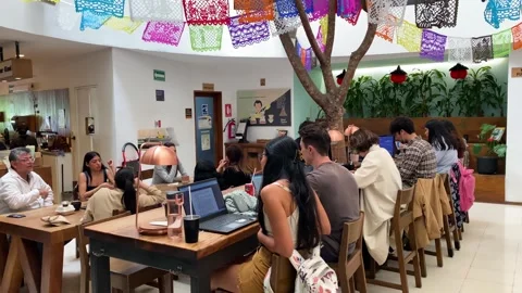 Digital Nomads at a co-working space and coffee shop, Mexico City 4K Stock Footage 291742059
