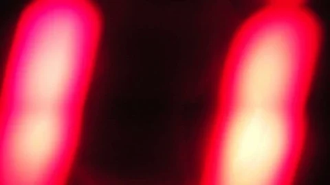 Digital numbers Stock Footage