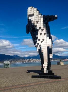 Digital Orca Stock Photos