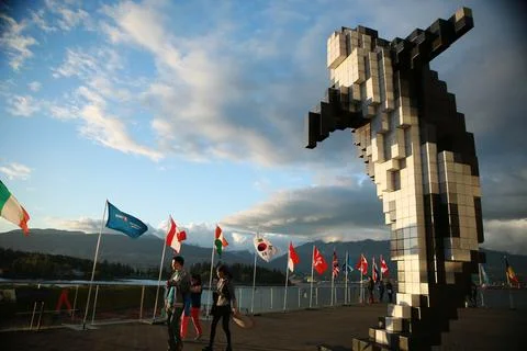 Digital Orca Stock Photos