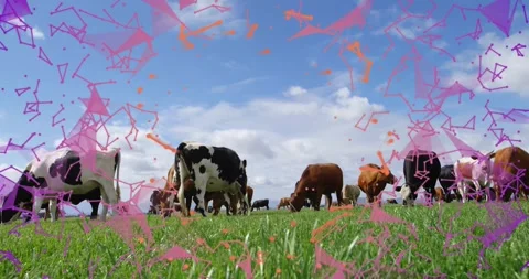 Digital particle shapes appearing at edges, swirling over grazing cattle, fading Stock Footage 329367243