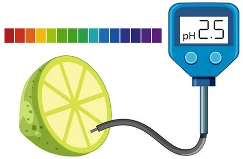 Digital pH Meter Measuring Acidity Level of a Fresh Lime Slice Stock Illustration