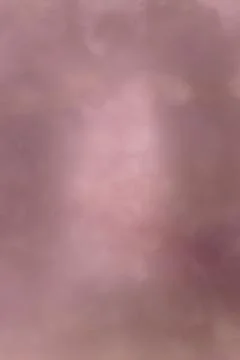 Digital Photo Studio Backdrop 库存插图