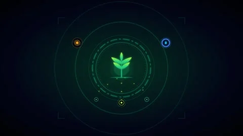 Digital plant growth hud interface: sustainable agriculture and eco-tech co.. Stock Footage 337567089
