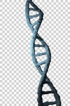 Digital png illustration of dna code on transparent background Illustrazione stock