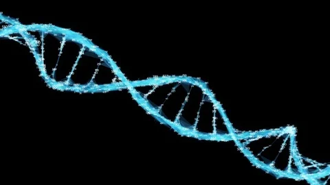 Digital Polygon Plexus DNA molecule random digits Loop Alpha Channel Stock Footage 82707127