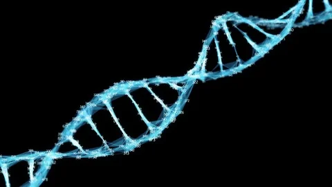 Digital Polygon Plexus DNA molecule random digits Loop Alpha Channel Stock Footage 82719004