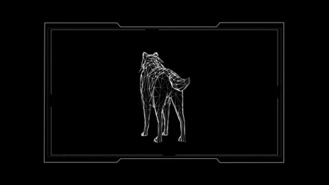 Digital Polygonal Wolf Design in Minimalistic Black and White Style Stock Footage 342244975