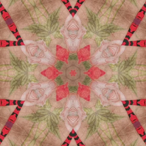 Digital print designs collection for textile, rug, carpet, wall covering ,tiles Stock Footage 275876543