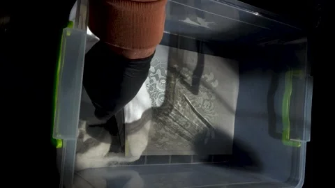 Digital printing technology on textiles directly Stock Footage 318781942