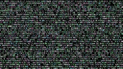 Digital rain of green computer code scrolling vertically on a black background Video stock 343166947