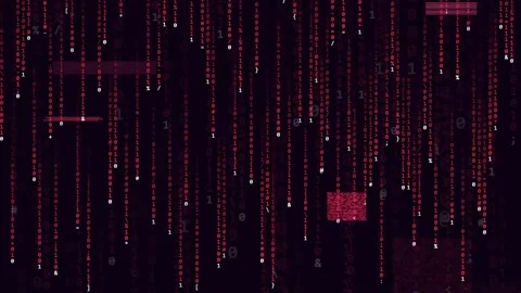 Digital Rain of Red Binary Code Falling Down on a Black Background for Stock-Footage 343152988