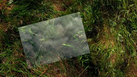 Digital Render Transparent Film on a Grass Background Stock Illustration