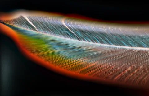 Digital Rendering Beautiful Feather in Soft Light Illustrazione stock
