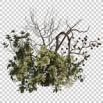 A digital rendering of a dense cluster of flora, featuring a central mass Stock Photos