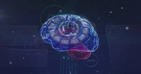 Digital rendering of human brain with highlighted sections in blue and red Stock Photos