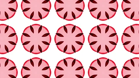Digital Rendering Kaleidoscope Creative Pattern Stock Footage 147356338
