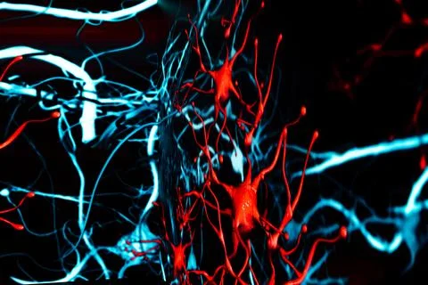 Digital rendering of neural connections, showcasing intricate red and blue pa Stock Illustration